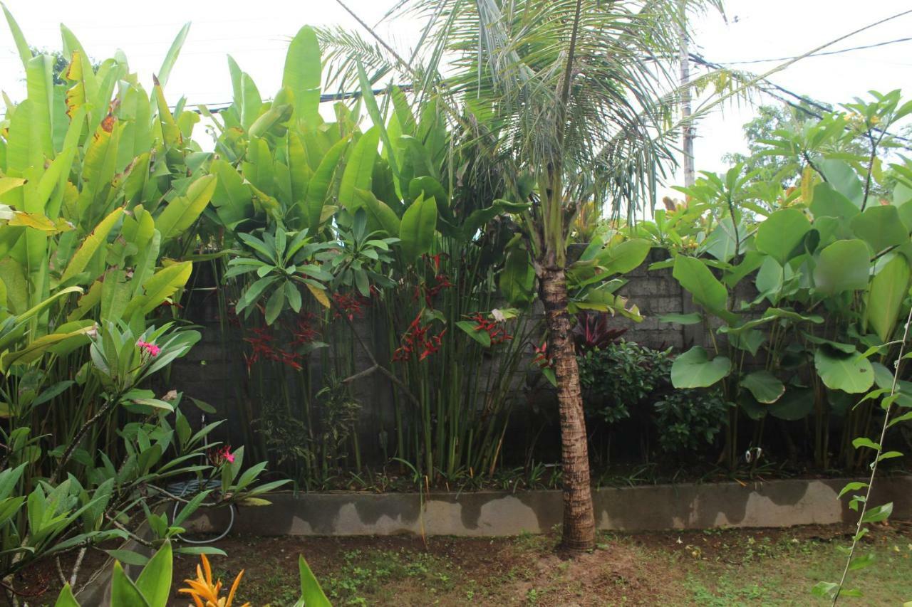 Paranyogan Homestay 2 Jimbaran  Exterior photo